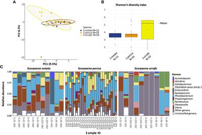 Geographic origin and host’s phylogeny are predictors of the gut mucosal microbiota diversity and composition in Mediterranean scorpionfishes (Scorpaena spp.)